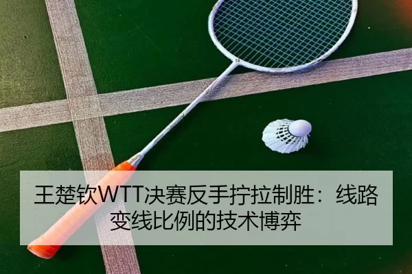 王楚钦WTT决赛反手拧拉制胜：线路变线比例的技术博弈